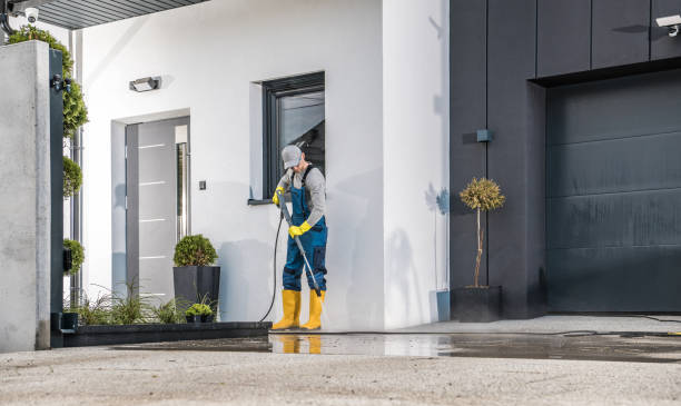 Best Fence Cleaning  in Kendale Lakes, FL